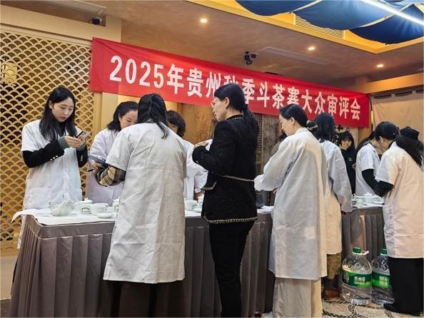 2025年貴州省秋季斗茶賽鳴鑼開賽，106只茶樣角逐“茶王”桂冠